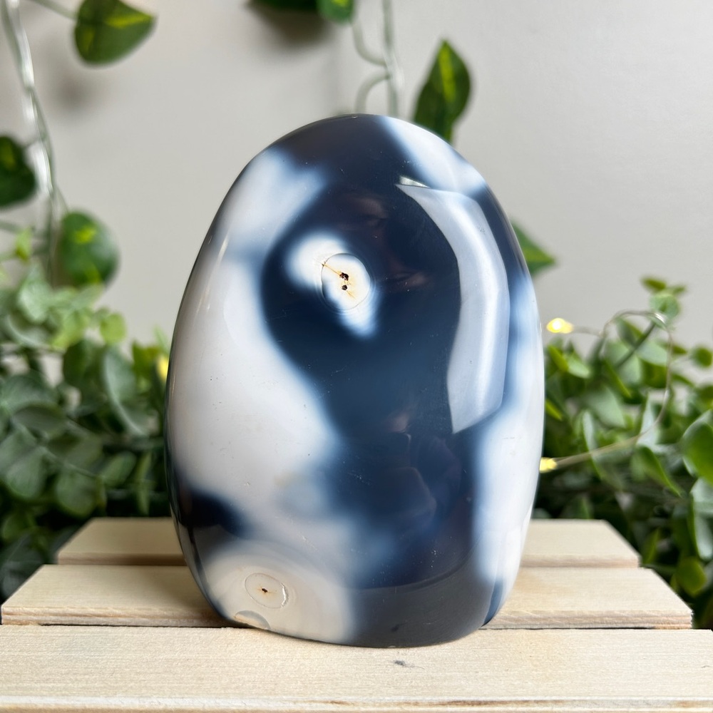 Orca Agate Crystal Freeform (Large)
